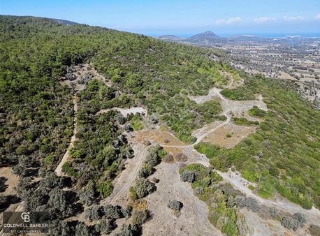 Güzelbahçe Çamlıda Gelişmekte Olan Bölgede 7828 M2 Tarla