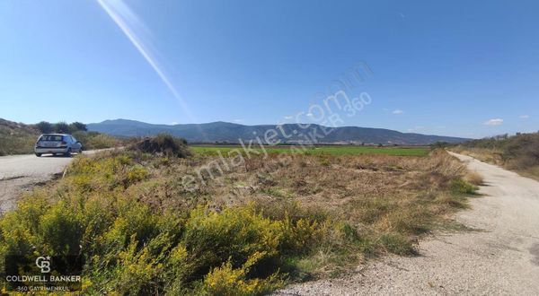 İzmir Torbalı Yeniköy Satılık 2.410 M2 Müstakil Tapulu Tarla