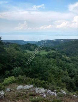 İznik Derbentte Göl Manzaralı Yola Cephe Satılık Tarla