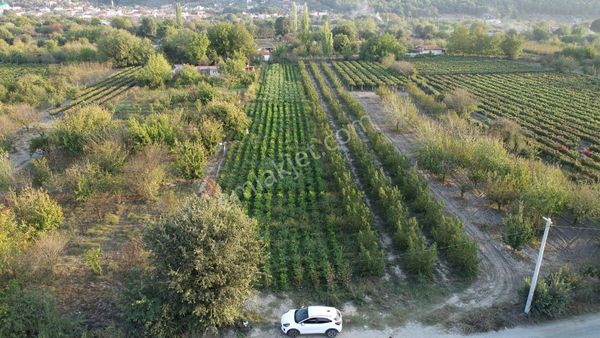 Satılık Tarla Kuşadası Kirazlı