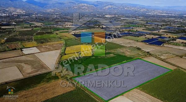 Aydın Sultanhisar Atça Mahallesinde Satılık 31114 M² Tarla