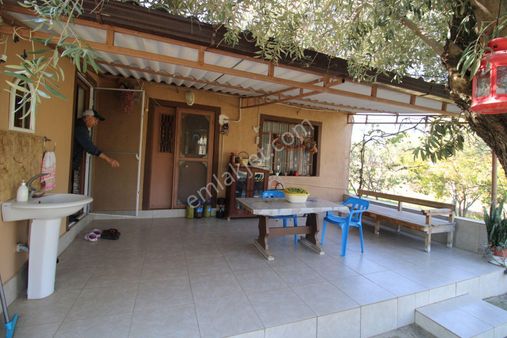 Muğla Milas Pınarcık Mahallesinde 1.560 M2 Arsa İçinde 2+1 Ayrı Mutfak Müstakil Tek Katlı Evimiz