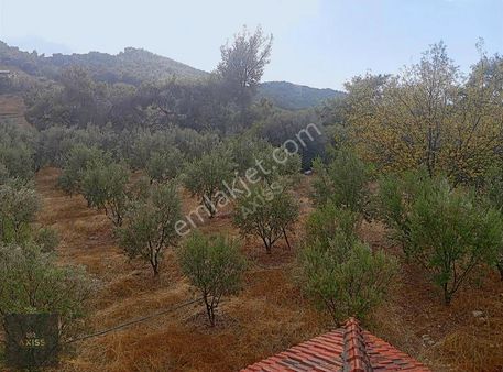 Satılık Müstakil Ev Ve Arsa Kumluca Belen Antalya