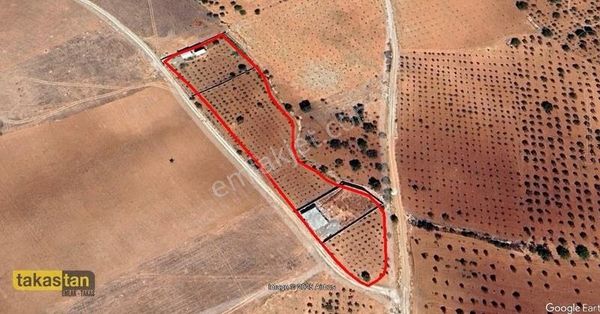 Suboğaz Bilek Sınırın Daresmi Yola Basar Satılık Bağ Evlik Arazi