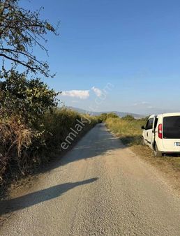 Akyörük Gayrimenkulden Satılık Tire Merkeze Yakın Tarla