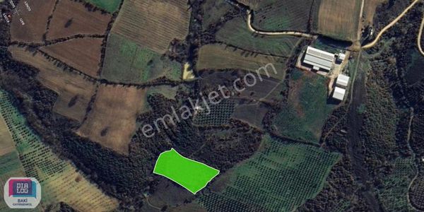 Karacabey Kıranlar'da 12.450 M2 Yatırıma Uygun Tarla