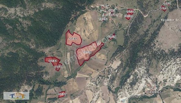 Bizim Emlaktan Merkez Kuzyaka Canbaz Köyünde Satılık Tarlalar