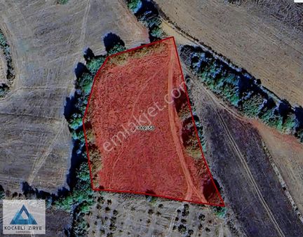 Kandıra Safalı Mahallesinde Deniz Gören Yatırımlık Tarla