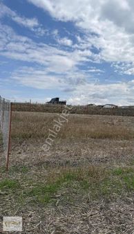 Çatalca Elbasan Mahallesi Tepe Konumda Bulunan 471 M2 Yerimiz