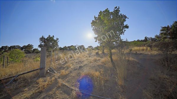 Kırklareli Yörükbayır Köyü Çiftlik Yapımına Uygun Arazi