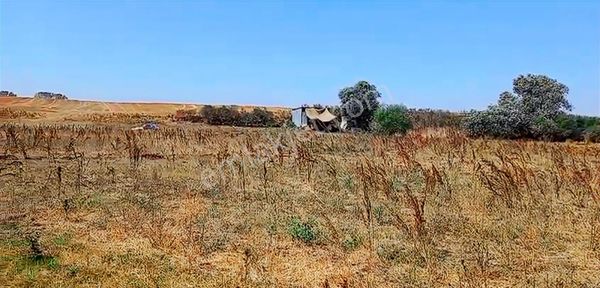 Kaçmaz Emlak'tan K.eli Çiftlikköy'de 2.000 M2 Yatırımlık Tarla