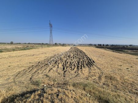 Rw Milyon'dan Koyunlar Mah. Yatırımlık Verimli 5602 M2 Tarla