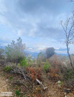 Doğayla İç İçe Yatırımlık Fırsat! 6.502 M² Satılık Tarla