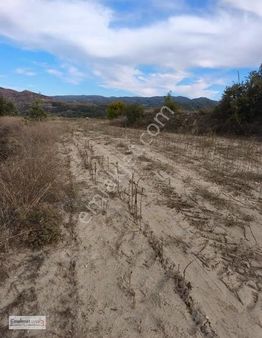 Muğla Menteşe Esençayda Satılık 14485m2 Yatırımlık Tarla