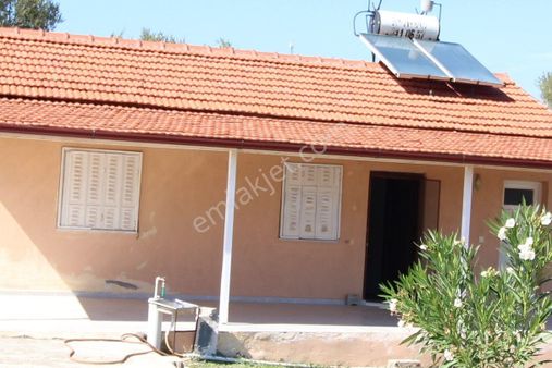 Muğla Milas Pınarcık Mahallesinde 2.551 M2 İçinde 1+1 Müstakil Ev Var Her Şey Resmi