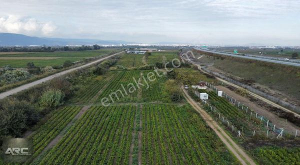 Karacabey Canbalı Da Satılık Yatırımlık Hazır Bahçe