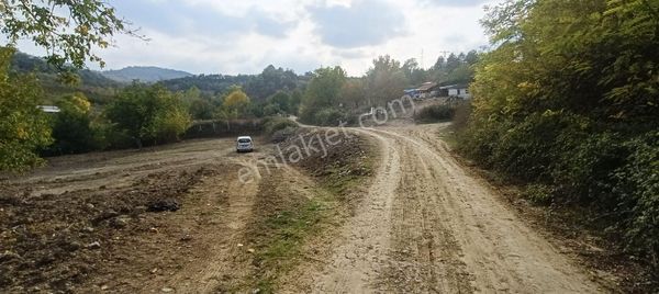 Deydinler Mahallesinde Acil Satılık İmara Yakın Tarla