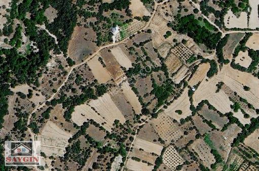 Saygın 'dan Yeşilyayla Köyün'de 7.250 M2 Tarla