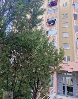 Ankara Sincan Yenikent Toki İlksan Konutlarında Yüksek Giriş 3+1 Acil Satılık Daire