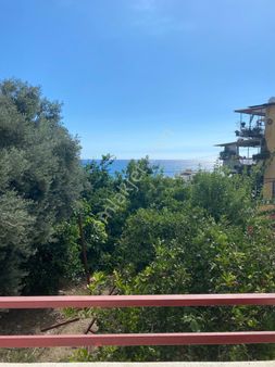 Dinek Mh 1+1 Boş Kiralık Daire