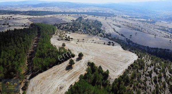Orman Yoluna Cephe,suya Yakın, Ekilebilir 5,332 M2 Fırsat Tarla.