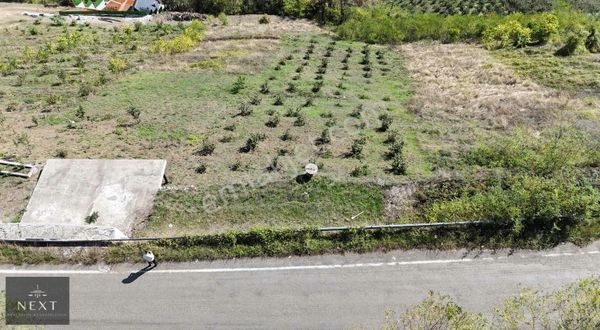 Akçaabat Sivriburun Tepesi Satılık 500 M2 İmarlı Arsa