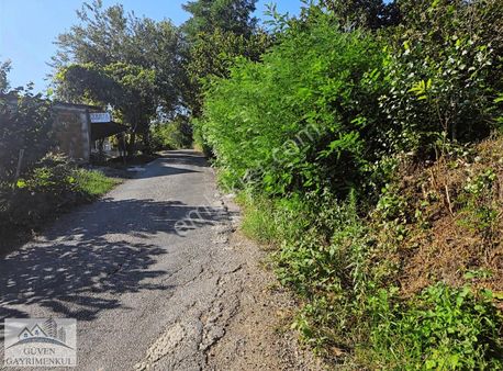 Güven Den Perşembe Doğan Köyünde Satılık Fındık Bahcesi