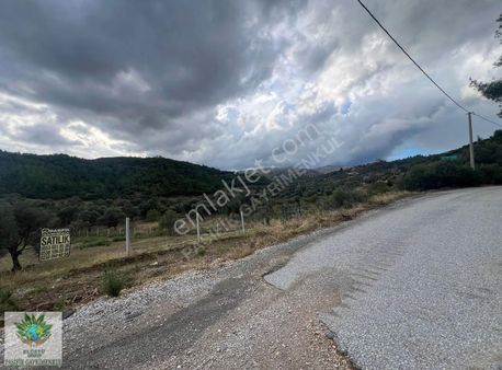 Pasifikten Menderes Çatalcada 3.053 M² Kök Tapu Tarla