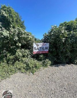 Terme Cumhuriyet Mahallesinde Satılık Arsa &tarla