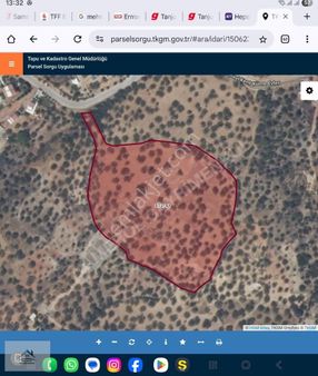 Bergama Zeytindağ Lalelik Mevkiinde Verimli Zeytinlik Satılık