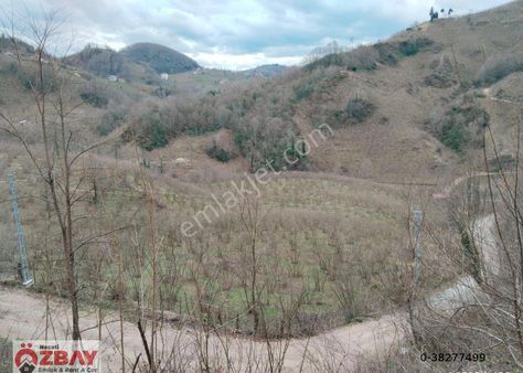 Kayadibi Mah.de Satılık 30 Dönüm 3 Parsel Fındık Bahçesi