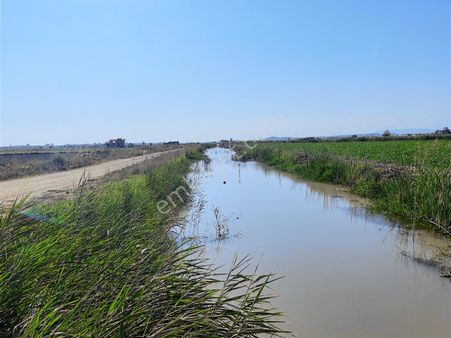 Antalya Manavgat Demirciler Mahallesi Kiralık Tek Tapu Tarla