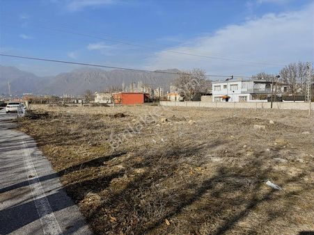 Konal Gayrimenkul | Eğribucağın En Kıymetli Yerinde 725 Mt Hisse