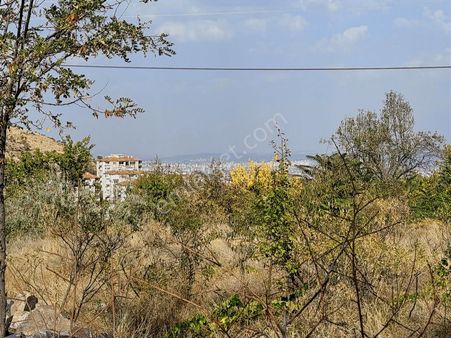 Hacılar Akyazıda Temiz 1000 Mt Parsel