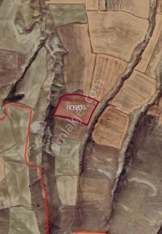 Konal Gayrimenkulden Avanos Çalış Da 17.645 M² Tarla