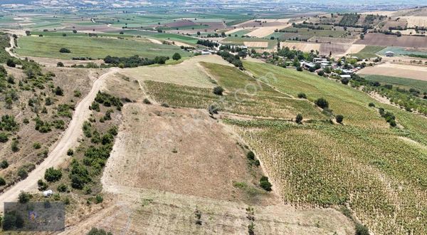 Royal Office Den Yenişehir De170m2 Hobi Bahçesi