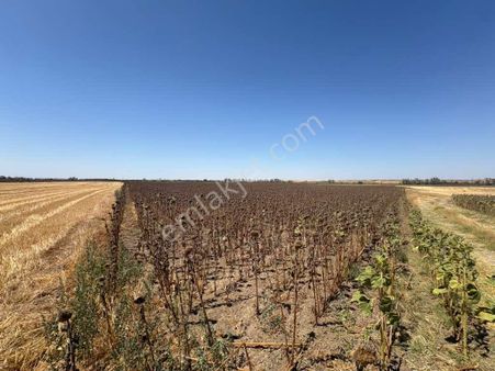 Kırklareli Lüleburgaz 'da Satılık Arsa