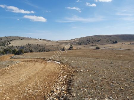 Başarakavakta Al-sat Esnaf Fiyatına Acil Satılık 6333m' Tarla..