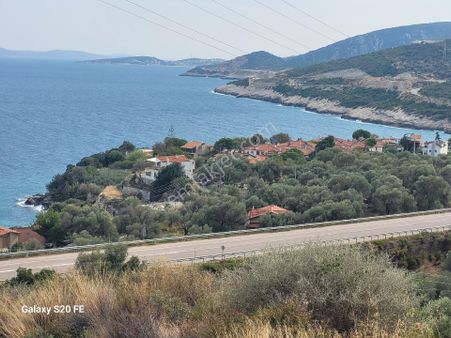 Kösedere De Denize 500 Metre