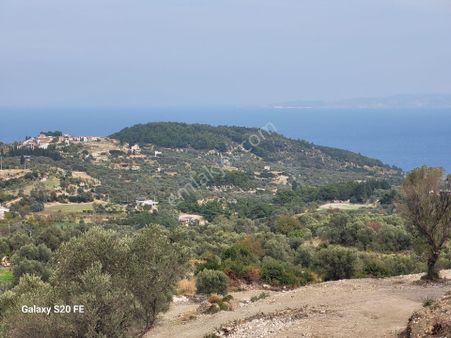 Eğlenhocada Deniz Manzaralı