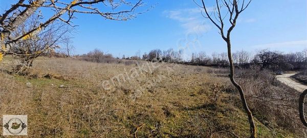 Vize Küçükyayla Köyünde Satılık Tarla