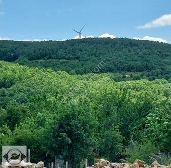 Toprak Gayrımenkul/vize/ Küçükyayla'da Mustakil Tap. 530m2 Arsa