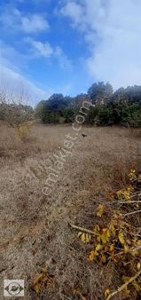 Kırklareli Vize Küçükyaylaköyünde 588,24m2 Satılık Arsa