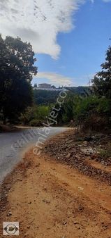 Kırklareli Vize Küçükyayla Köyünde 561m2 Satılık Arsa