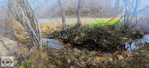 Toprak Gayrımenkul'den Vize Küçükyayla'da Satılık 2248 M2 Tarla