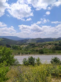 Taraklı Hacıyakupta Anayola Cepheli 621 M2 Satılık Manzaralı Bağ