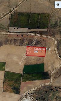 Kr Unity'den Emirdağ Hamzahacılı Köyünde Satılık Tarla