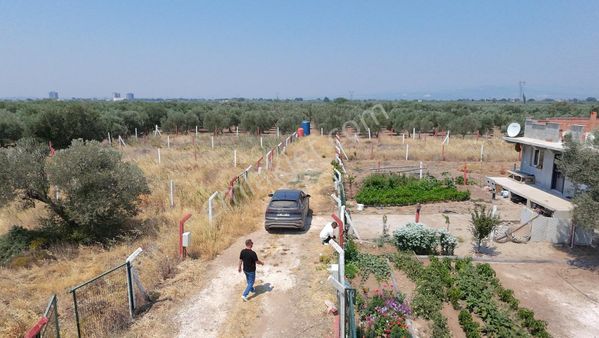 Efendi Karayer Mevkii Site Konseptinde 262 M2 Hobi Bahçesi