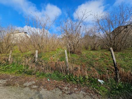 1610 M2 Merkezi Konumda , 18 Uygulaması Başlamış Satılık Tarla