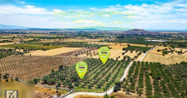 Kocamehmetlerde Satılık 2 Parsel Tarla